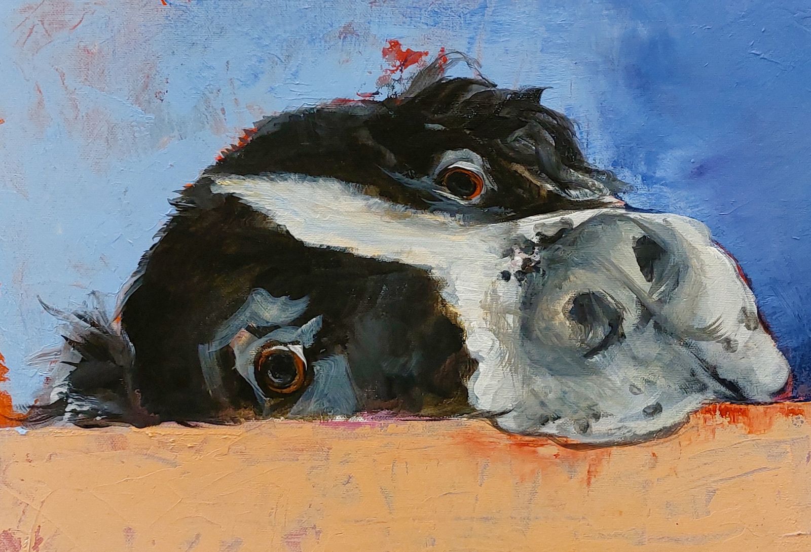 Gemälde eines liegenden schwarz-weißen Ponykopfs mit hellem Nasenrücken und braunen Augen vor blauem und apricotfarbenem Hintergrund